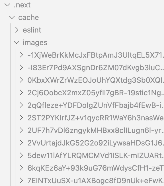 next.js cache